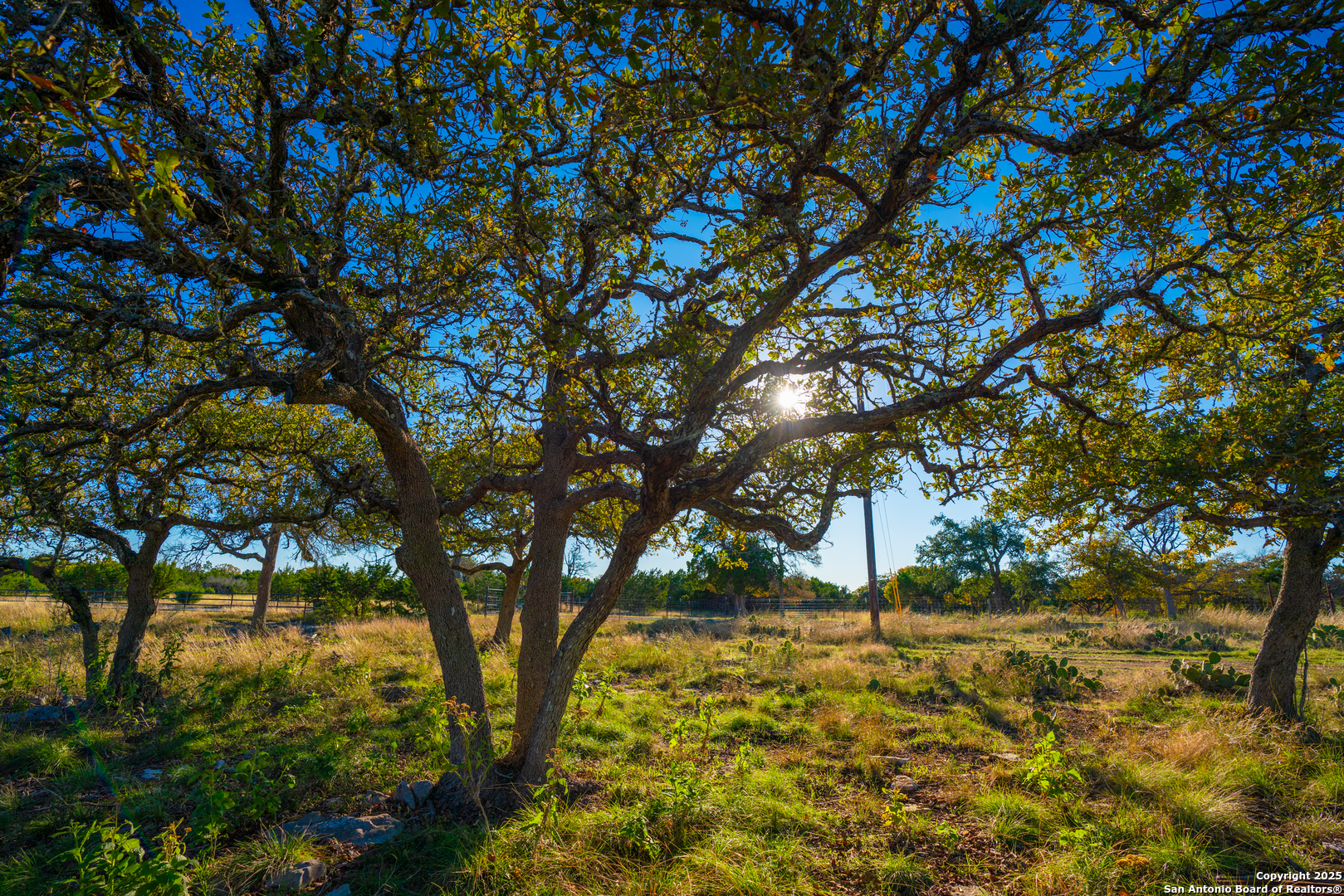 101 Bella Springs Road Boerne TX 78006