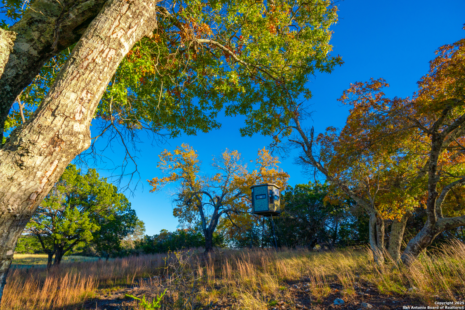 101 Bella Springs Road Boerne TX 78006