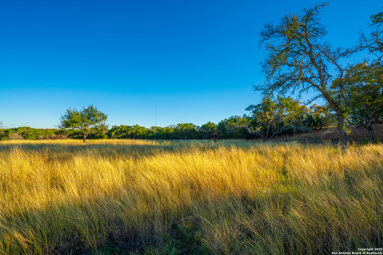 101 Bella Springs Road Boerne TX 78006