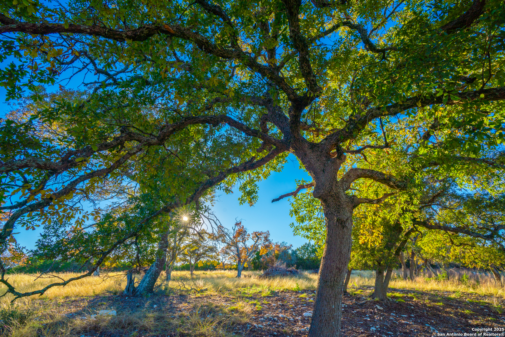 101 Bella Springs Road Boerne TX 78006