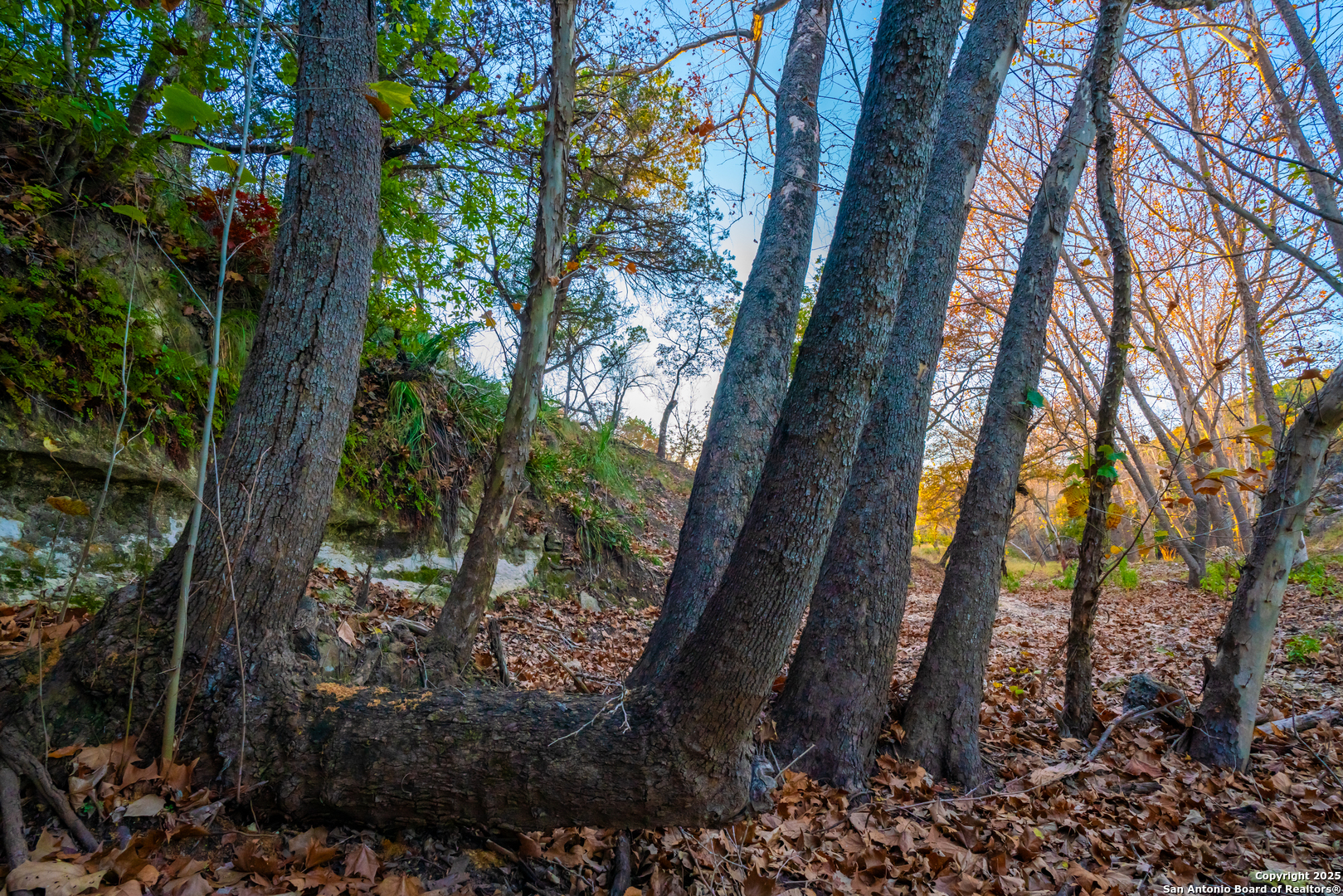 101 Bella Springs Road Boerne TX 78006