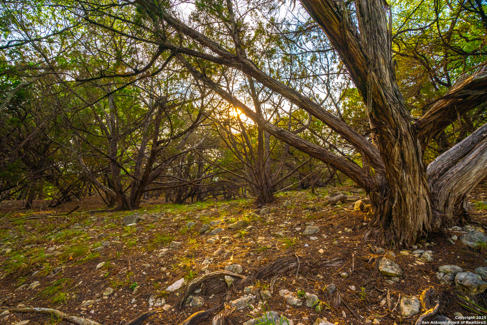 101 Bella Springs Road Boerne TX 78006