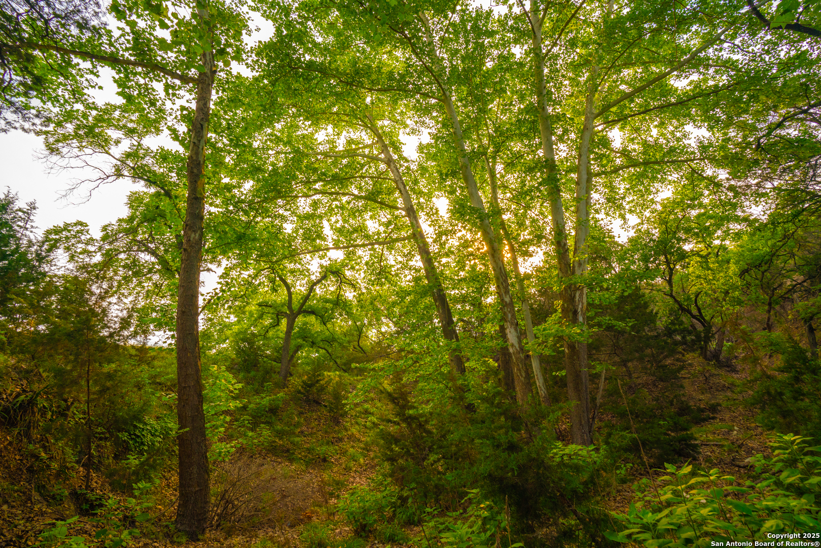 101 Bella Springs Road Boerne TX 78006