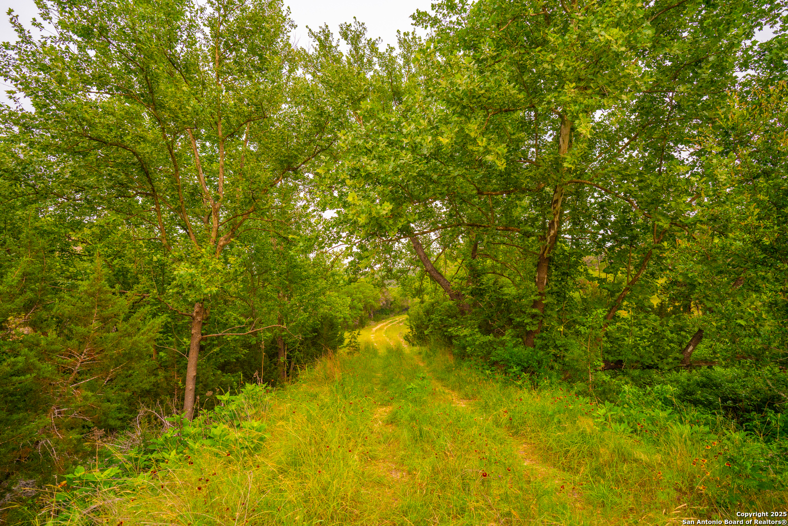 101 Bella Springs Road Boerne TX 78006