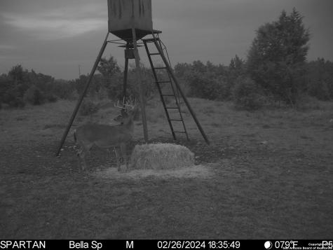 101 Bella Springs Road Boerne TX 78006