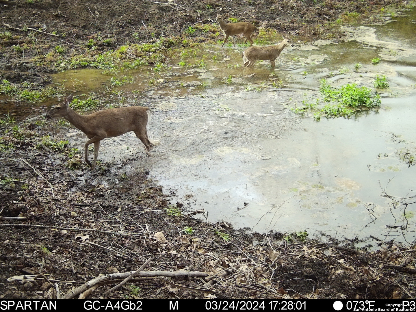 101 Bella Springs Road Boerne TX 78006