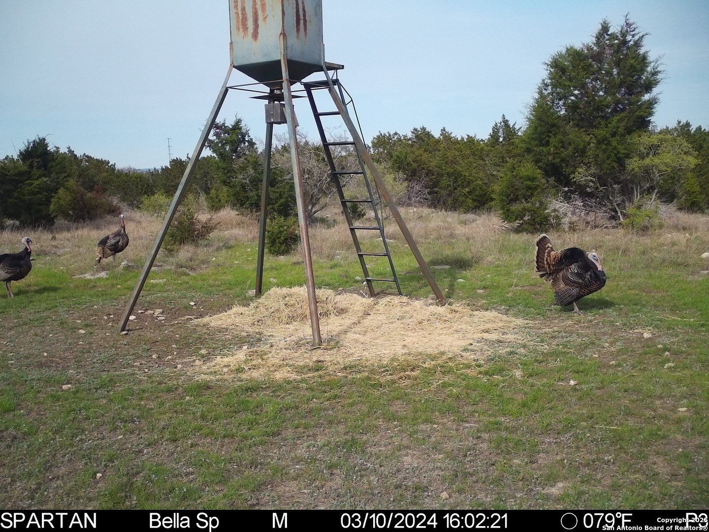 101 Bella Springs Road Boerne TX 78006