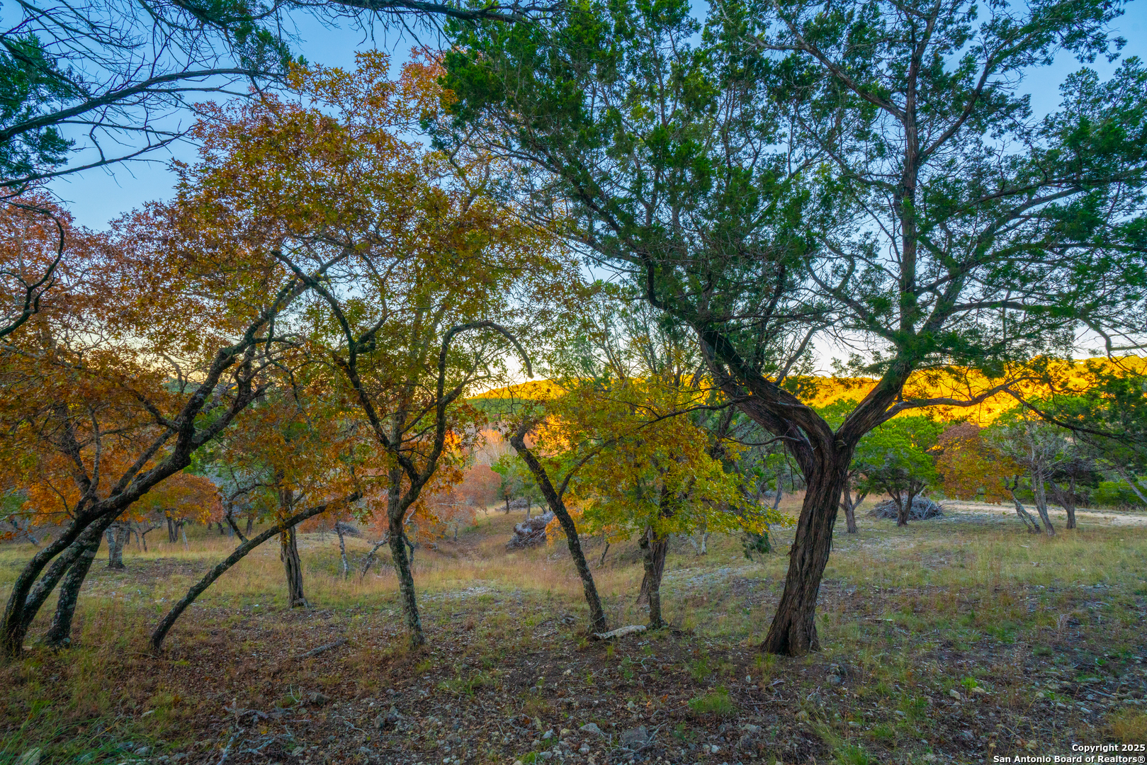 101 Bella Springs Road Boerne TX 78006