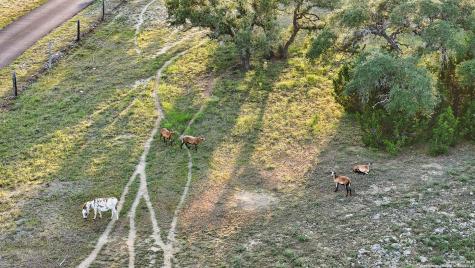 24209 Scenic Loop San Antonio TX 78255