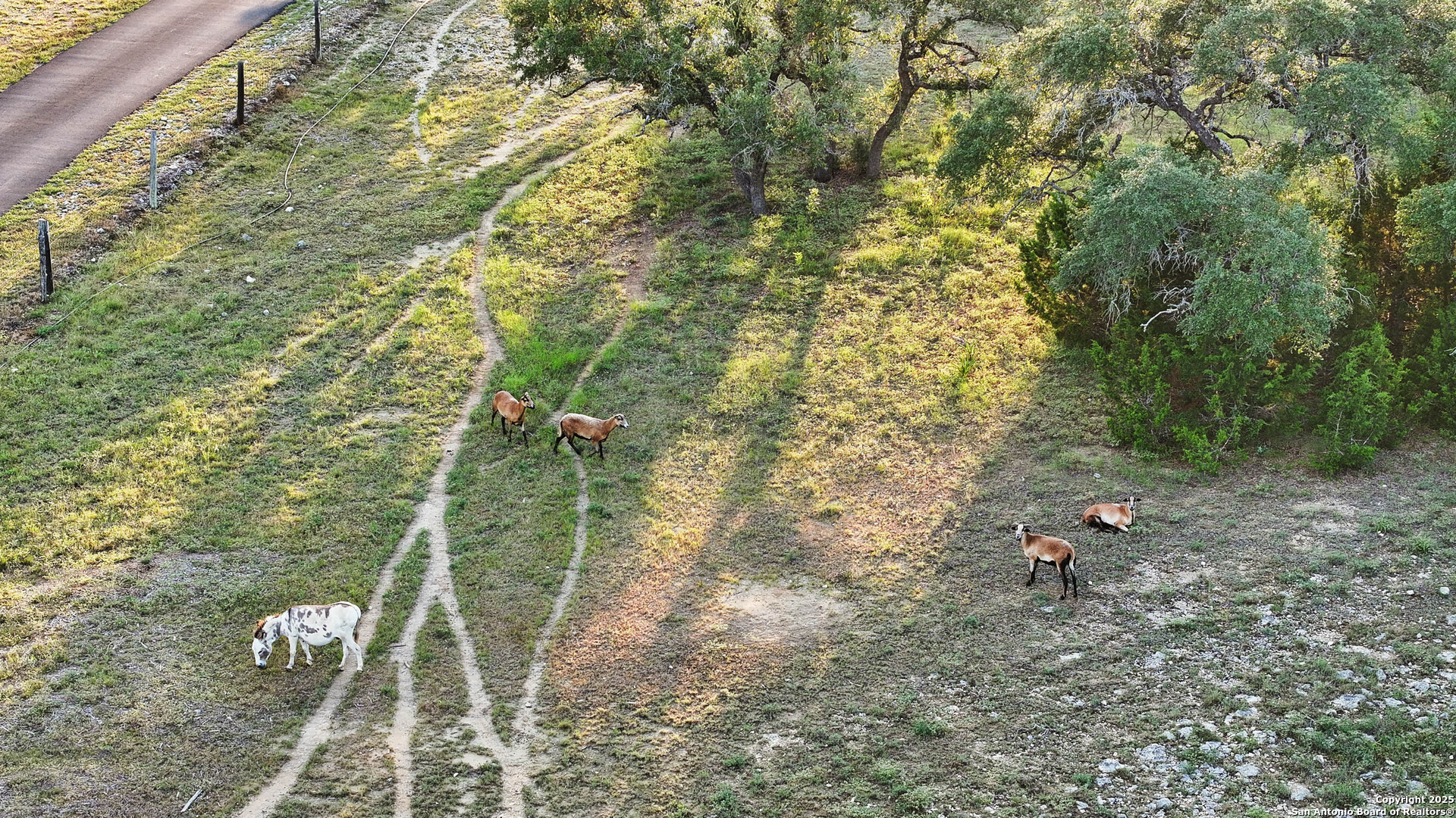 24209 Scenic Loop San Antonio TX 78255