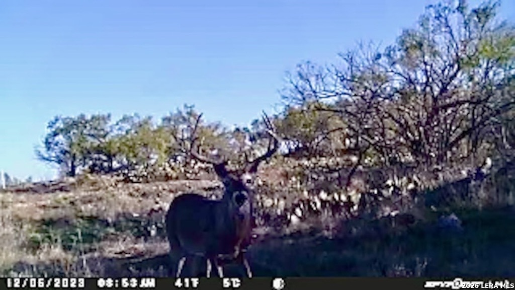 6544 Antler Drive Fort Mckavett TX 76841