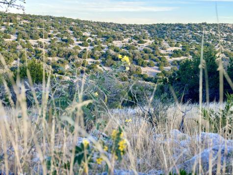 1213 Sd 42200 Rocksprings TX 78880