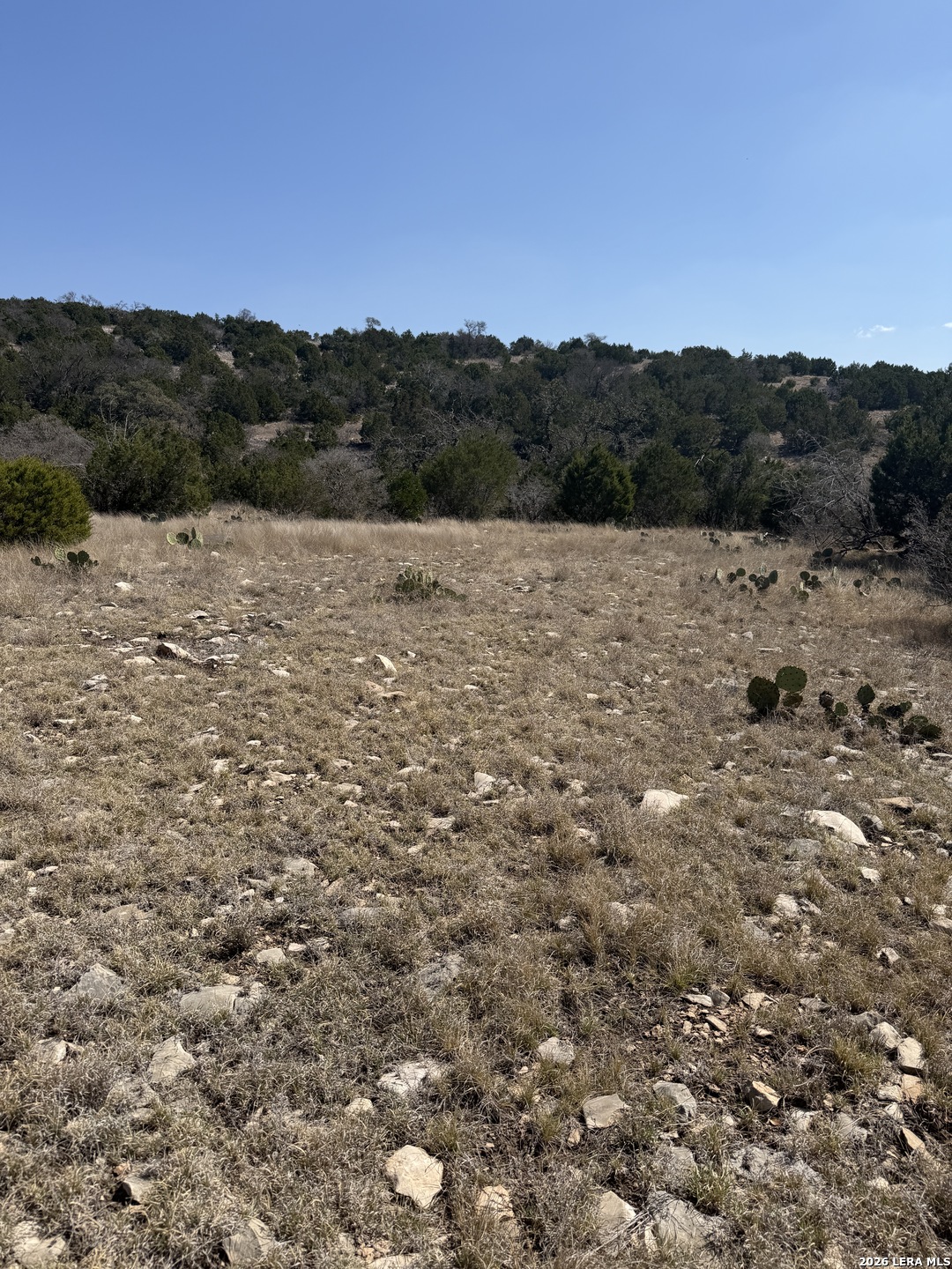 1213 Sd 42200 Rocksprings TX 78880