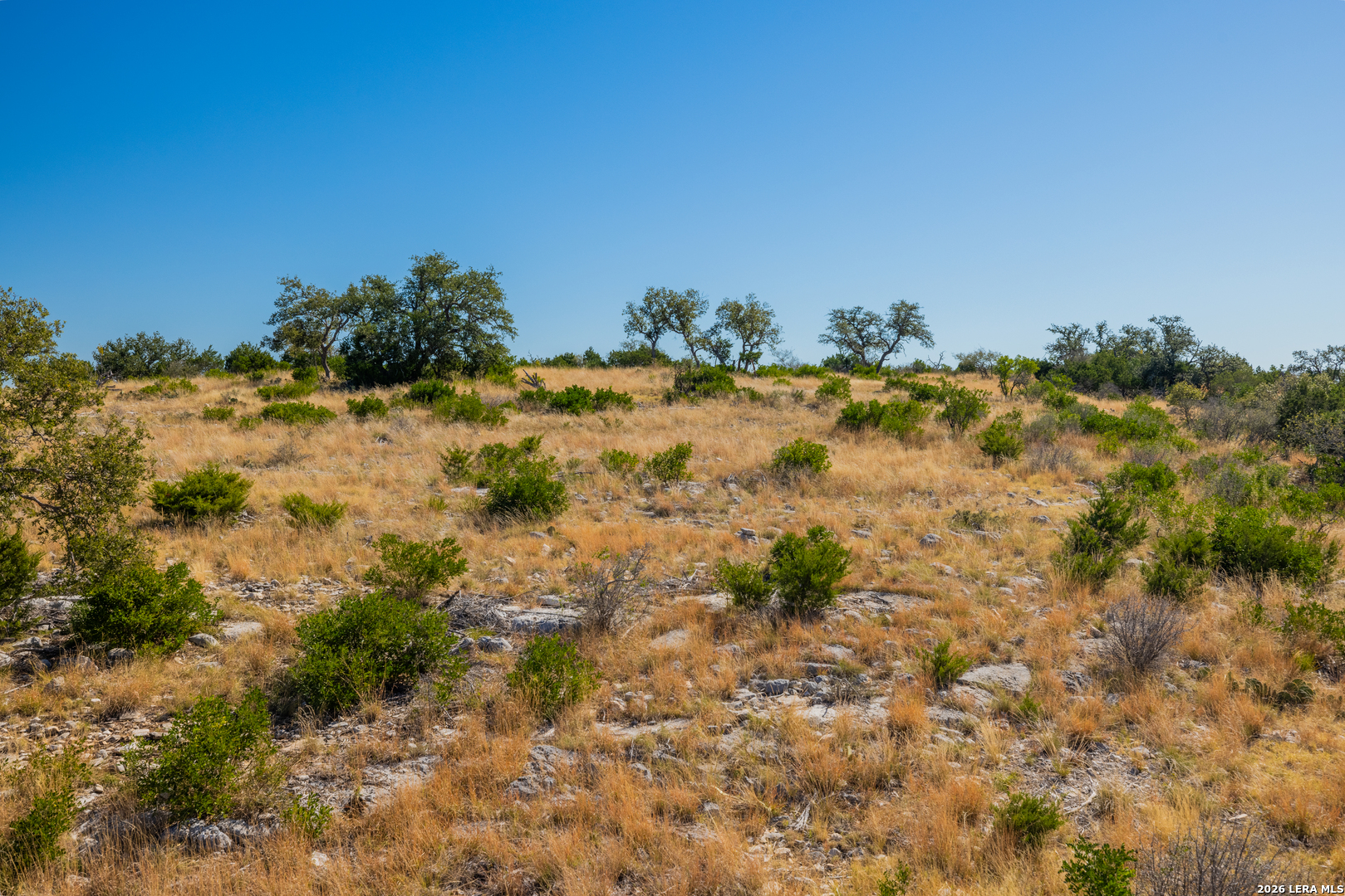 172 Sd 55576 Rocksprings TX 78880