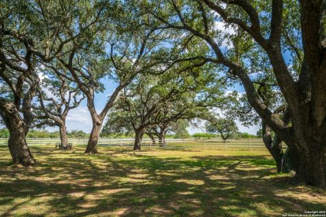 2310 State Highway 97 Pleasanton TX 78064