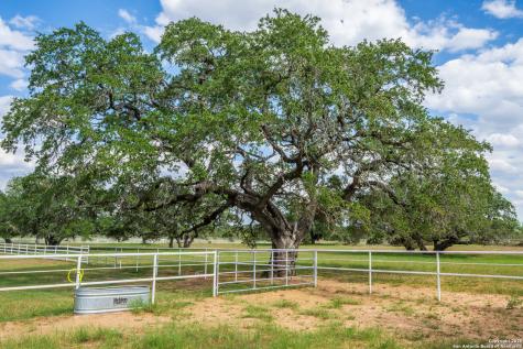 2310 State Highway 97 Pleasanton TX 78064