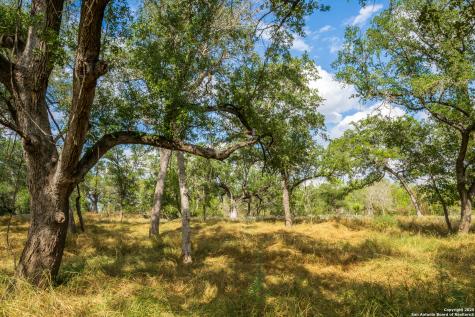 2310 State Highway 97 Pleasanton TX 78064