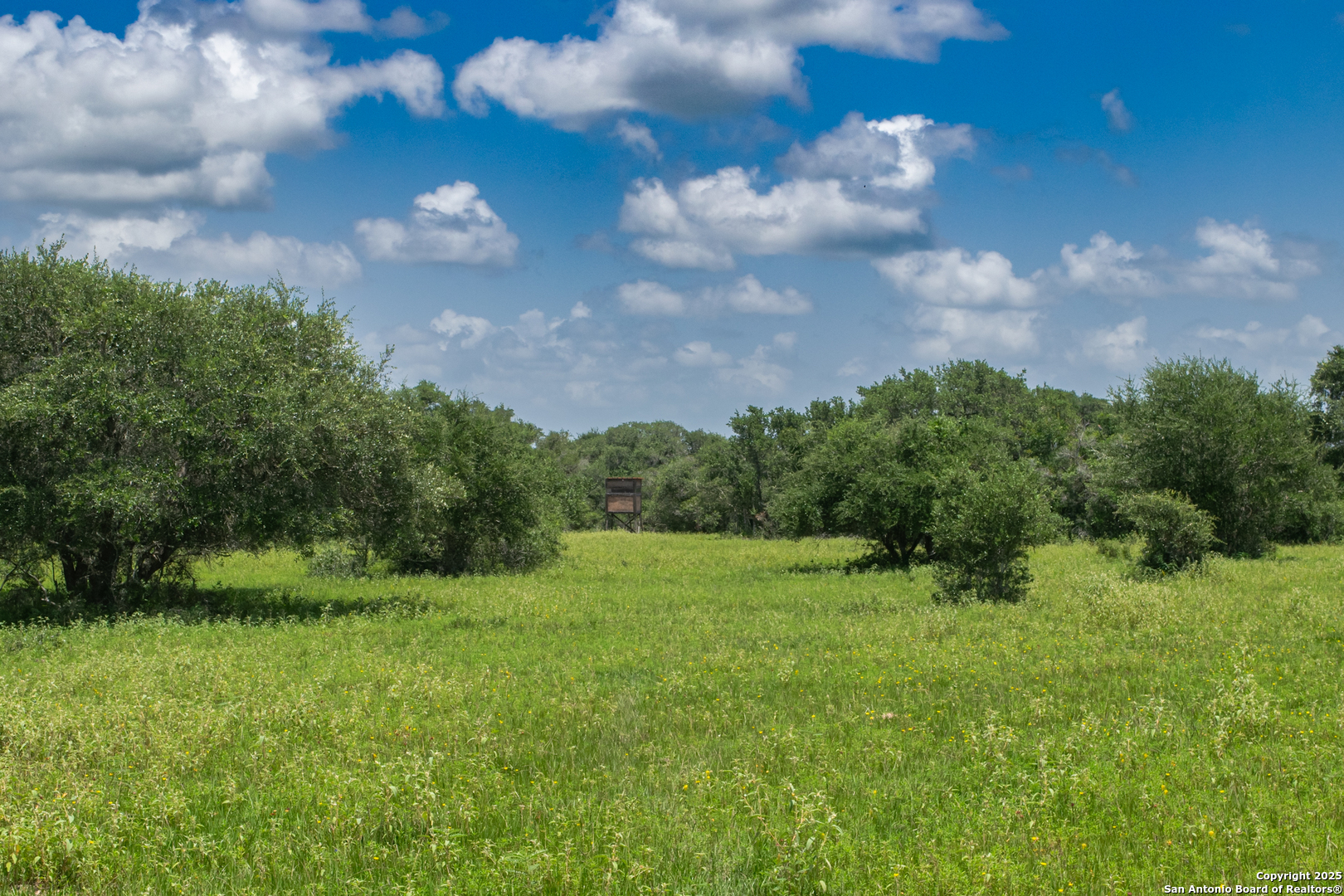 Tbd Fm 682 Yoakum TX 77995