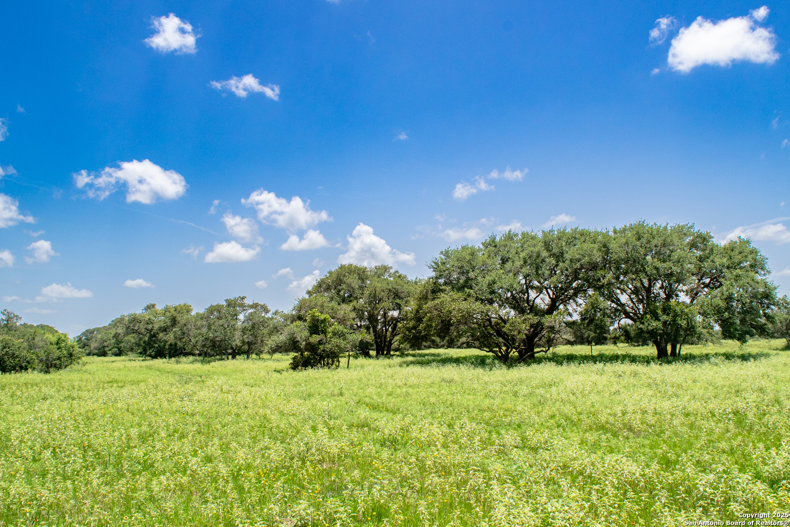 Tbd Fm 682 Yoakum TX 77995