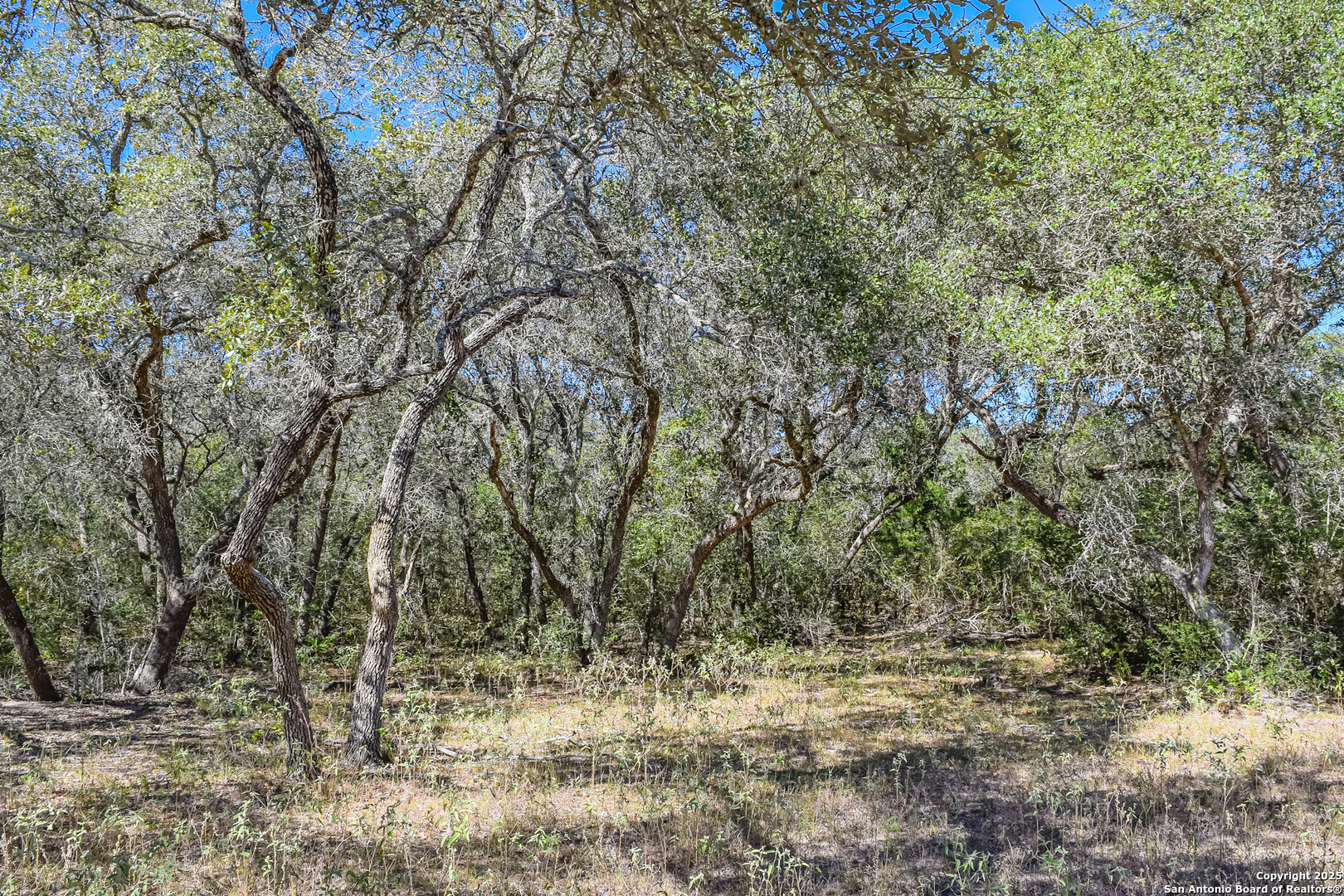 Tbd Fm 682 Yoakum TX 77995