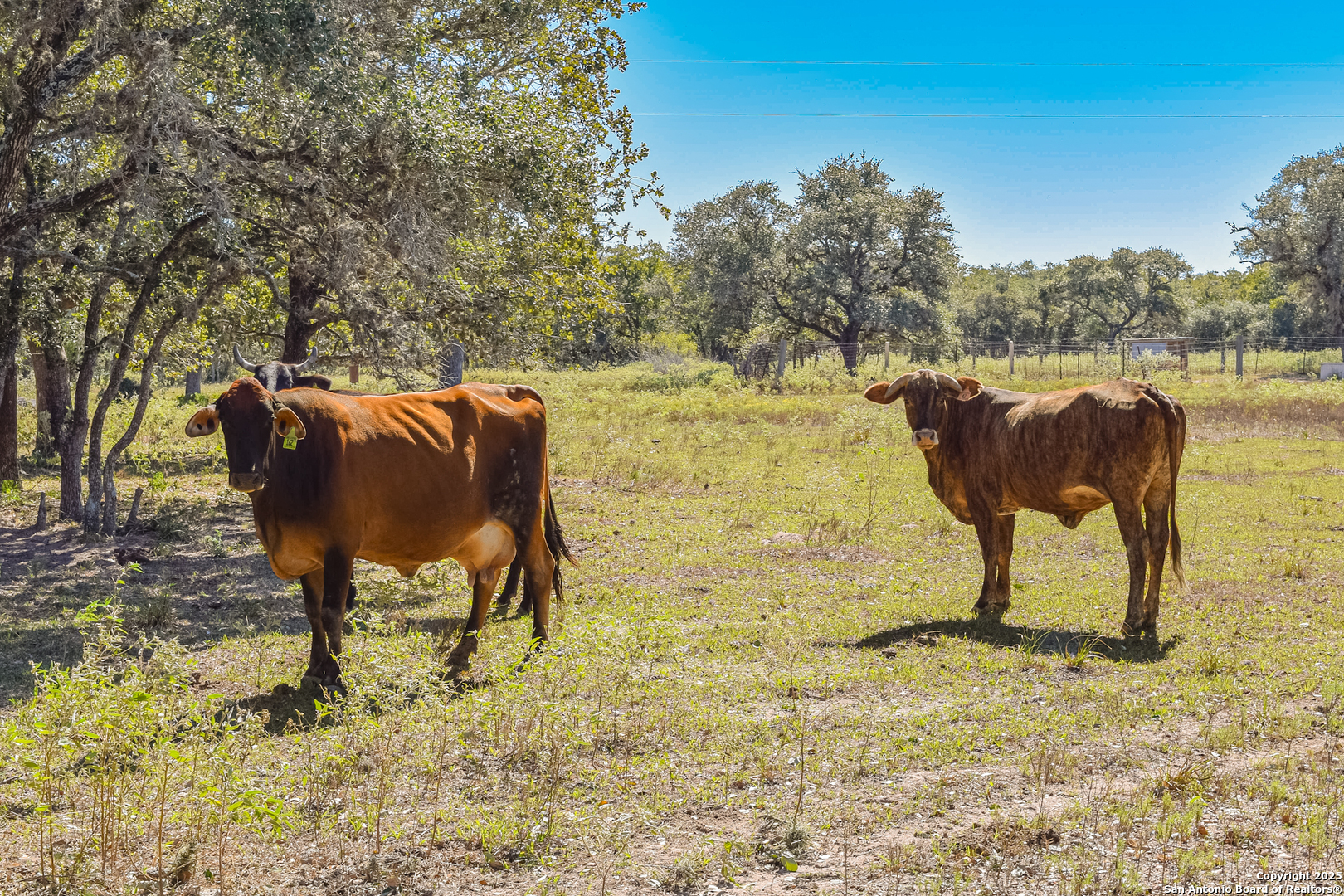 Tbd Fm 682 Yoakum TX 77995