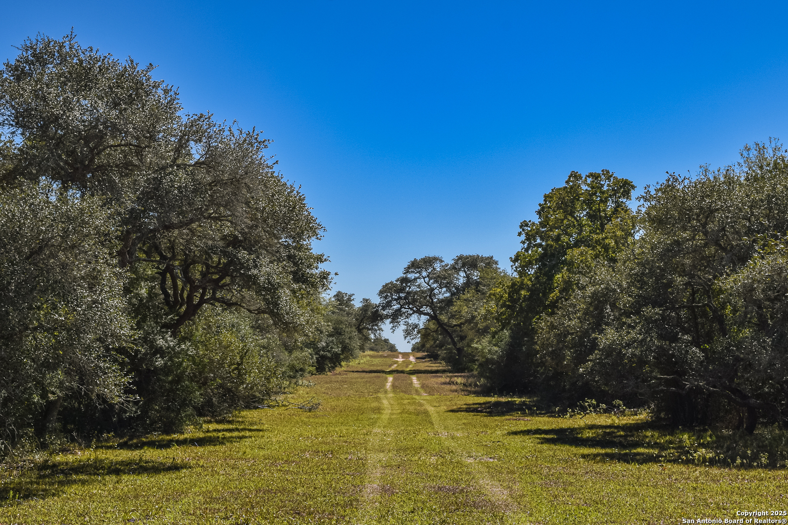 Tbd Fm 682 Yoakum TX 77995