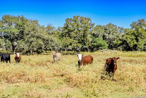 Tbd Fm 682 Yoakum TX 77995