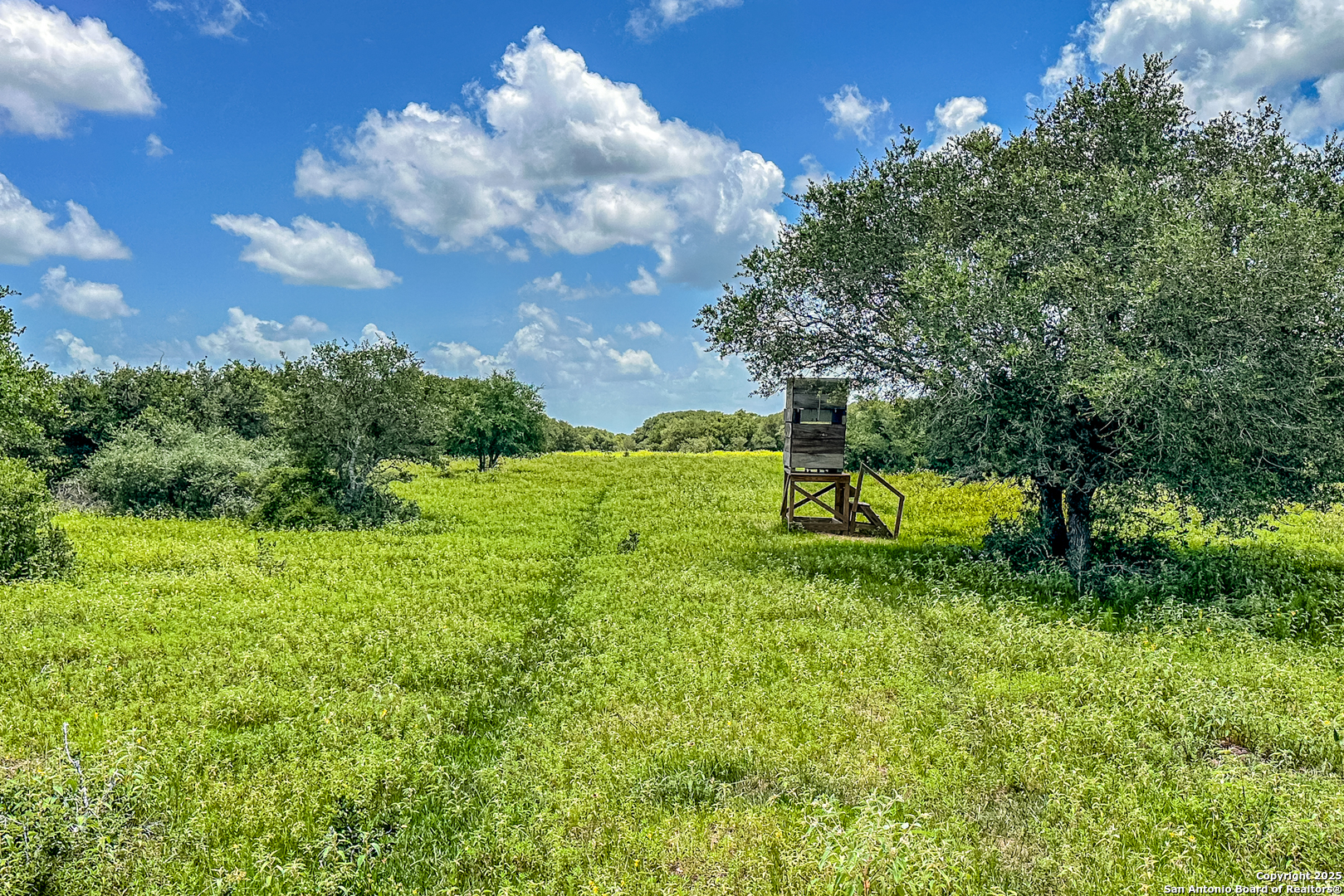 Tbd Fm 682 Yoakum TX 77995