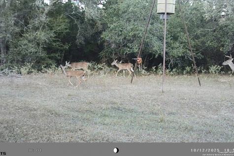 Tbd Fm 682 Yoakum TX 77995