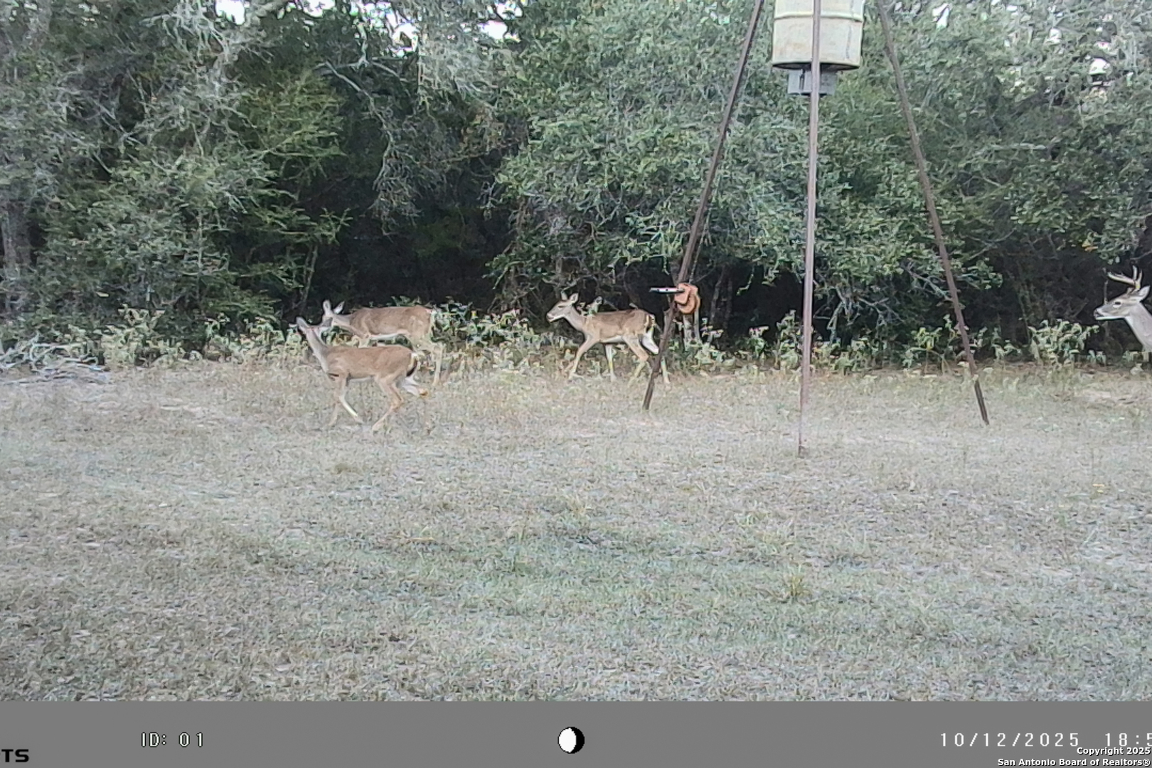 Tbd Fm 682 Yoakum TX 77995