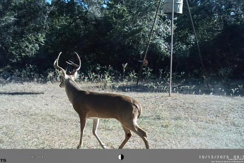 Tbd Fm 682 Yoakum TX 77995