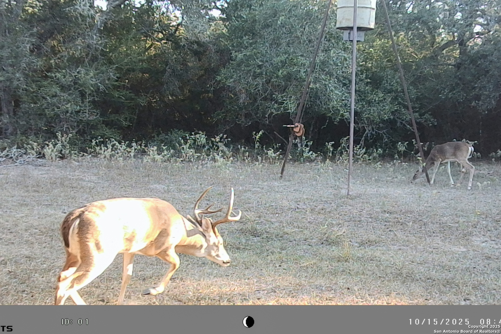 Tbd Fm 682 Yoakum TX 77995