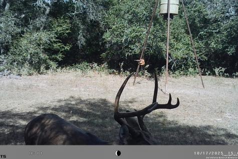 Tbd Fm 682 Yoakum TX 77995