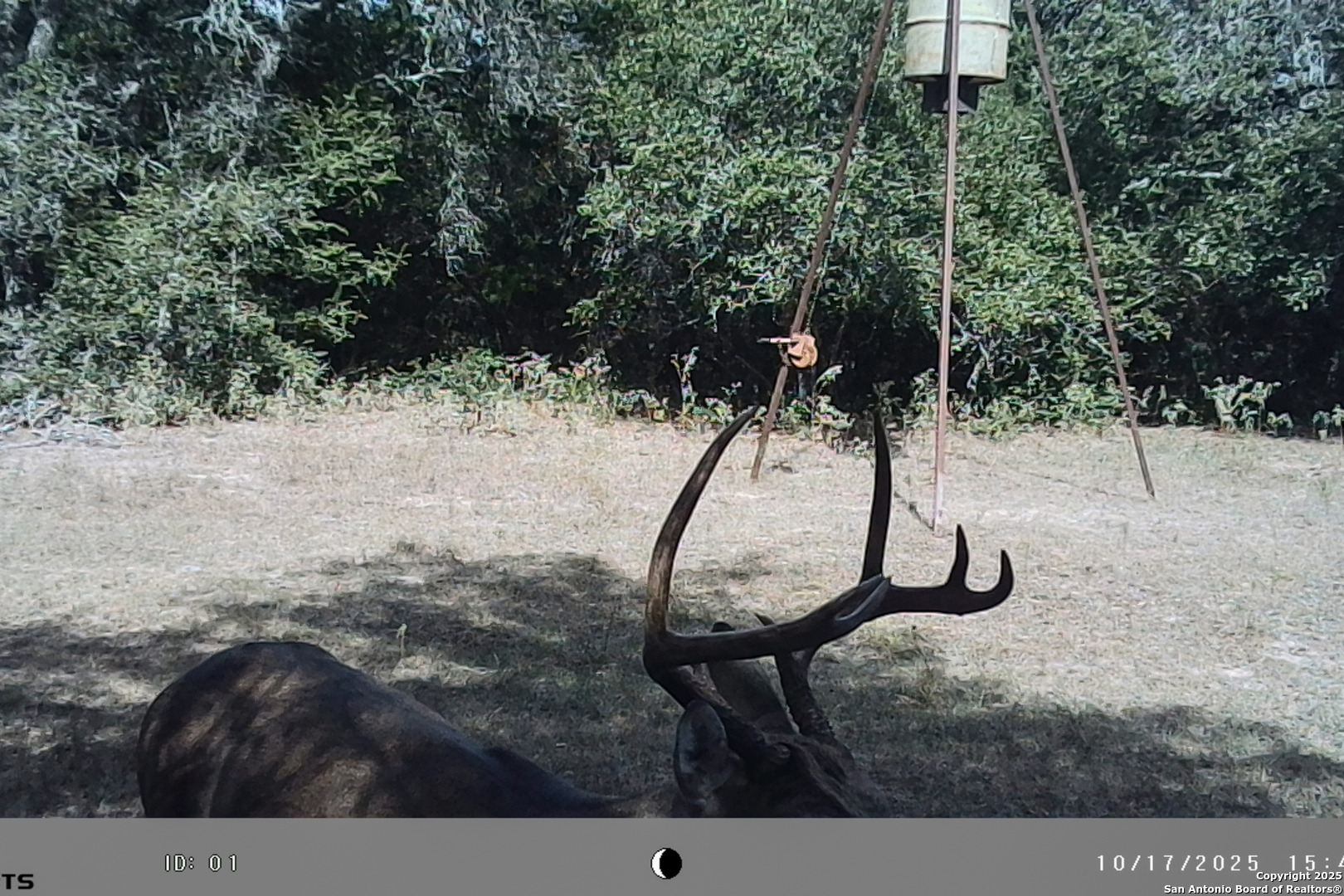 Tbd Fm 682 Yoakum TX 77995