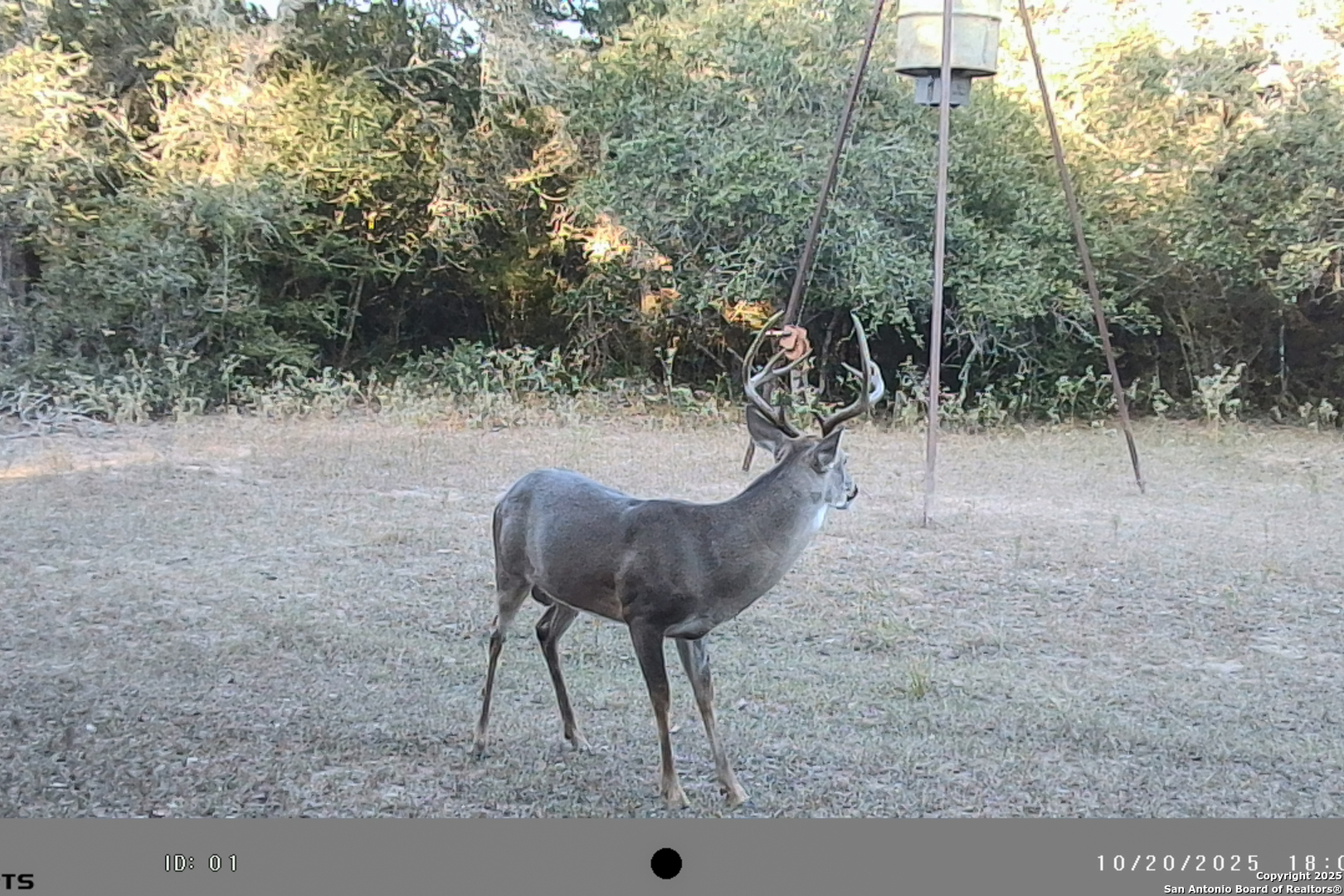 Tbd Fm 682 Yoakum TX 77995