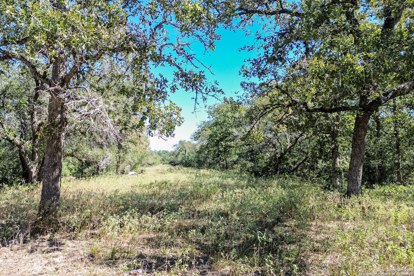 Tbd Fm 682 Yoakum TX 77995