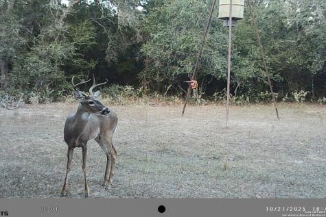 Tbd Fm 682 Yoakum TX 77995