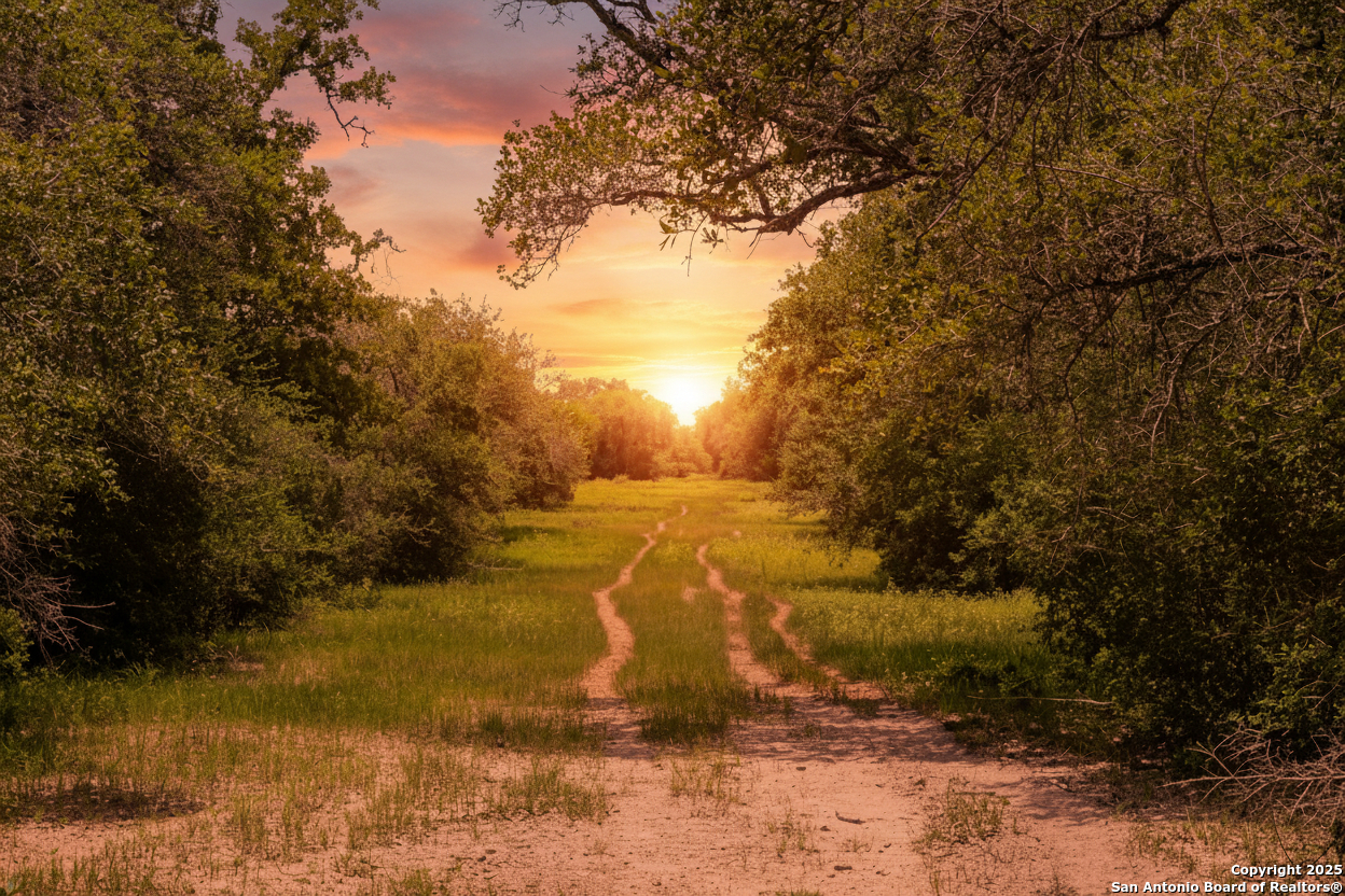 Tbd Fm 682 Yoakum TX 77995