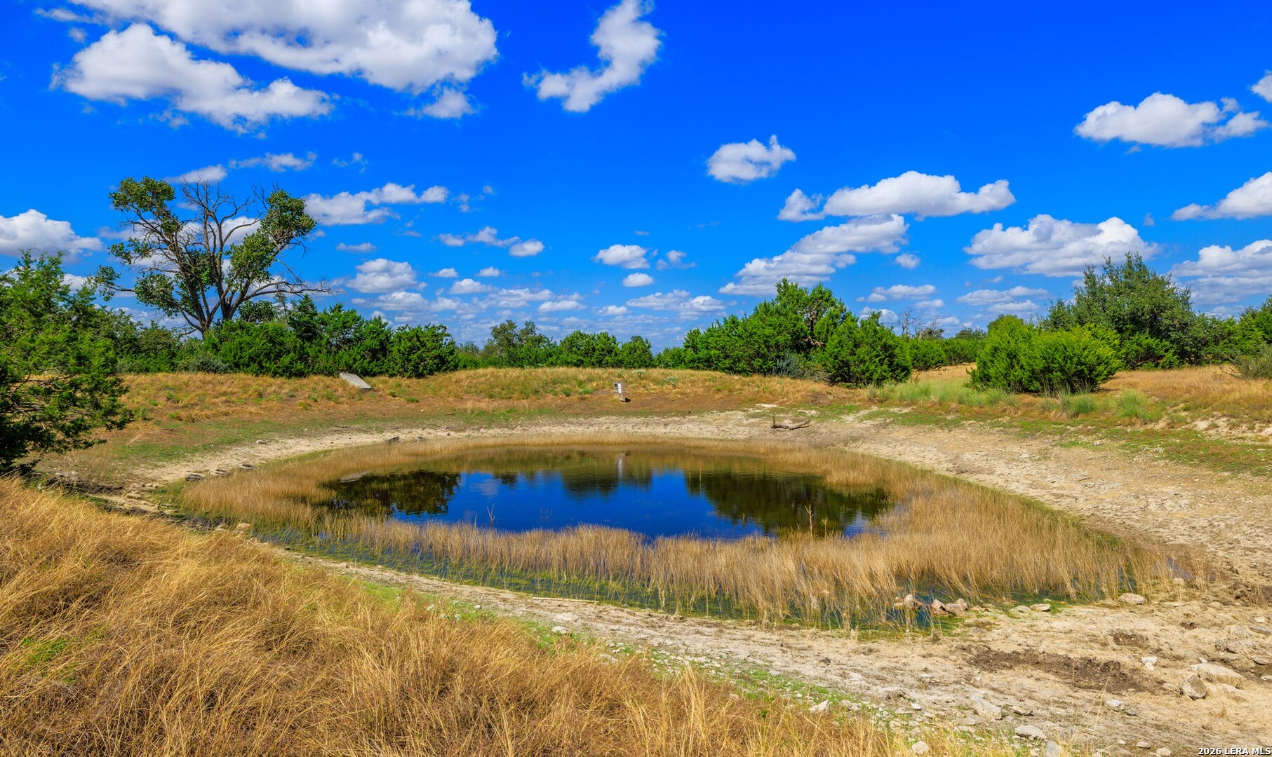 3395 Friedrich Road Fredericksburg TX 78624