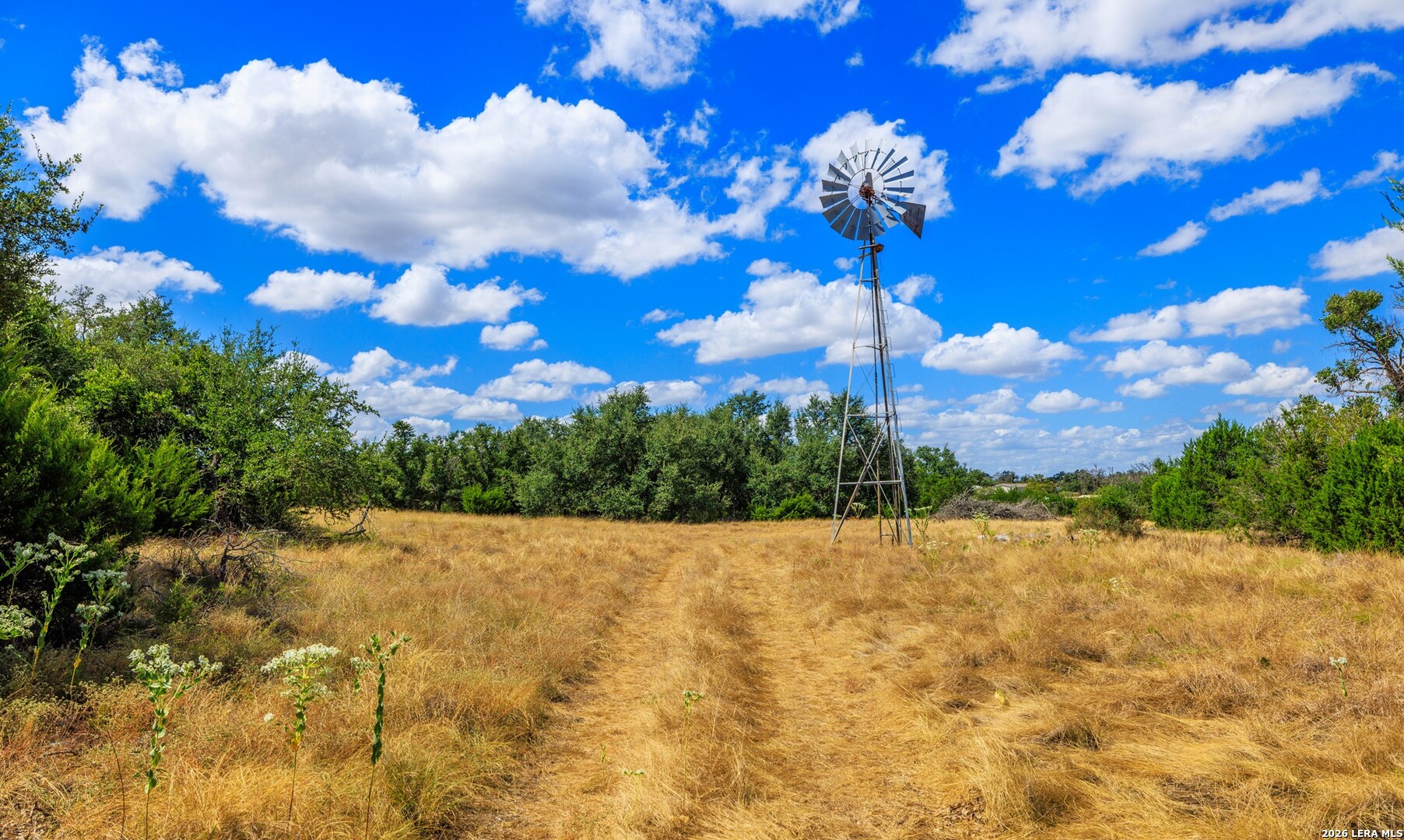 3395 Friedrich Road Fredericksburg TX 78624