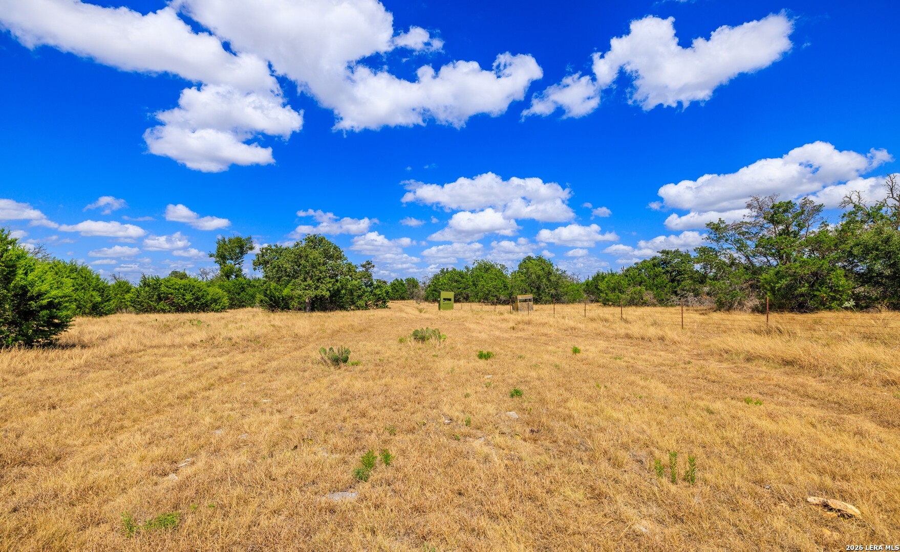 3395 Friedrich Road Fredericksburg TX 78624