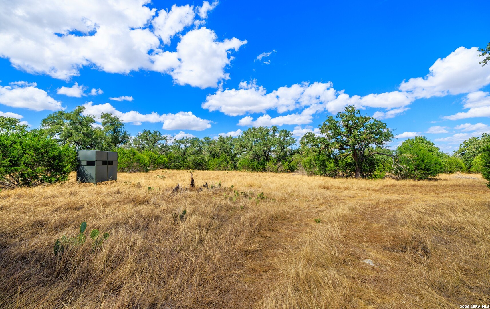 3395 Friedrich Road Fredericksburg TX 78624