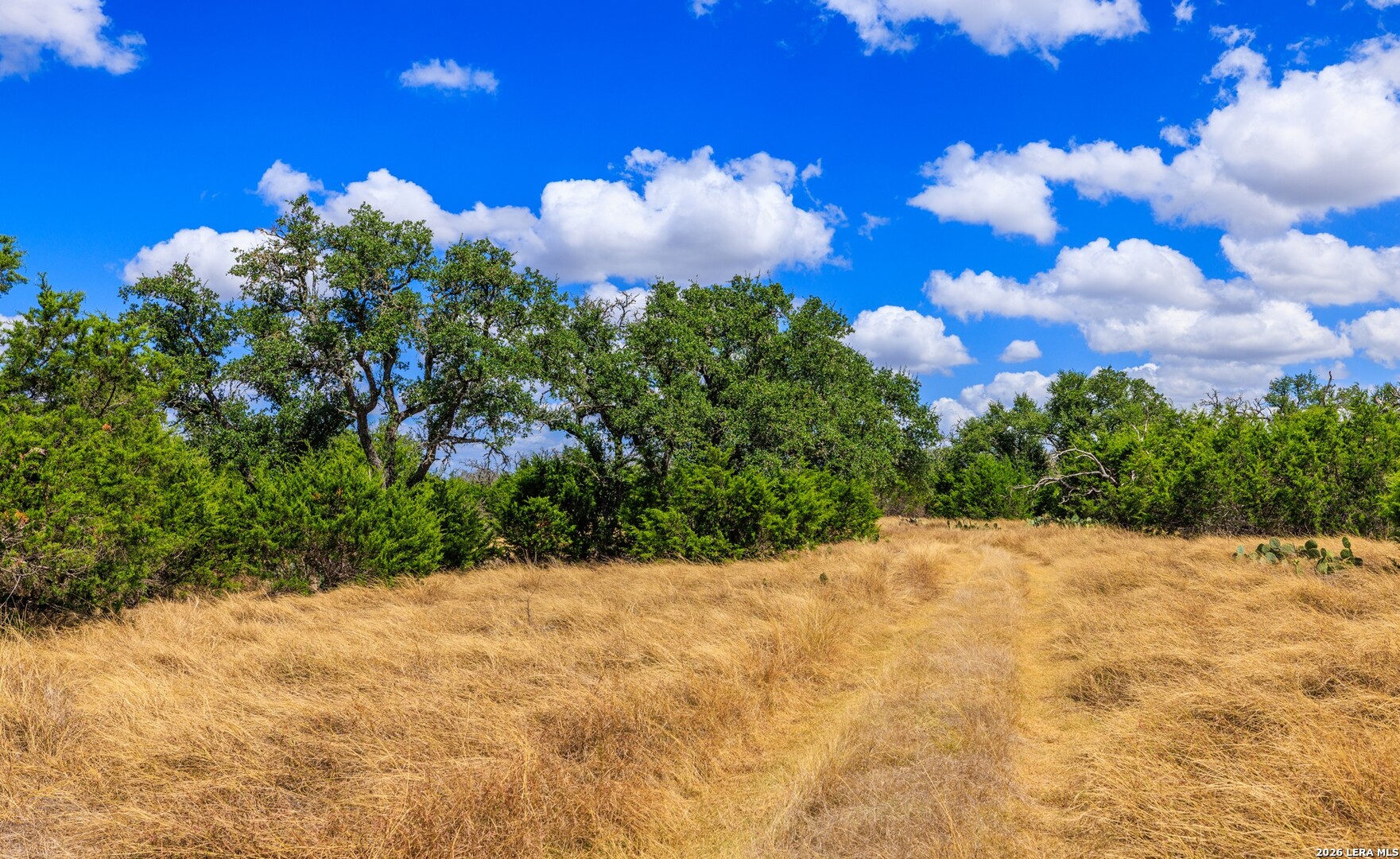 3395 Friedrich Road Fredericksburg TX 78624