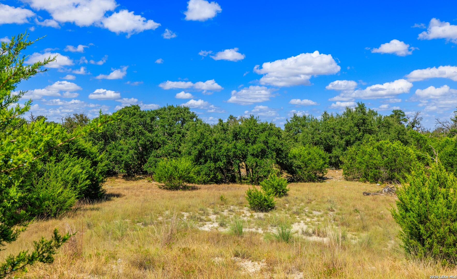3395 Friedrich Road Fredericksburg TX 78624