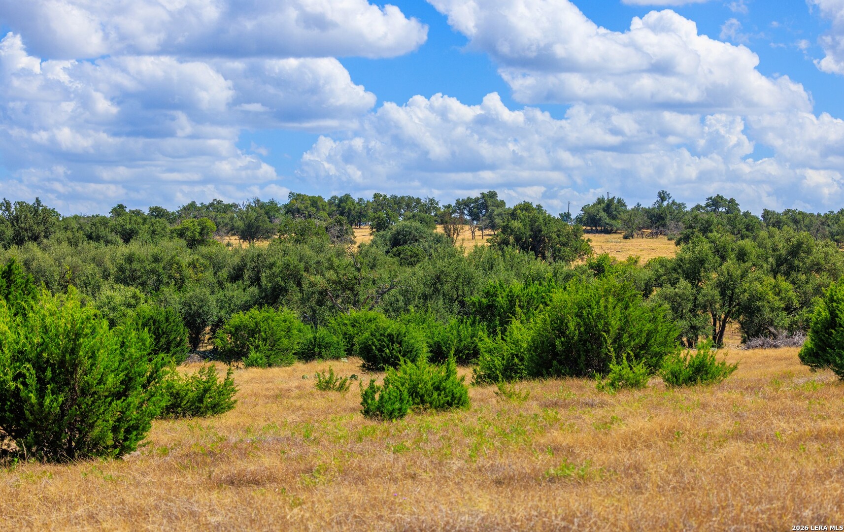 3395 Friedrich Road Fredericksburg TX 78624