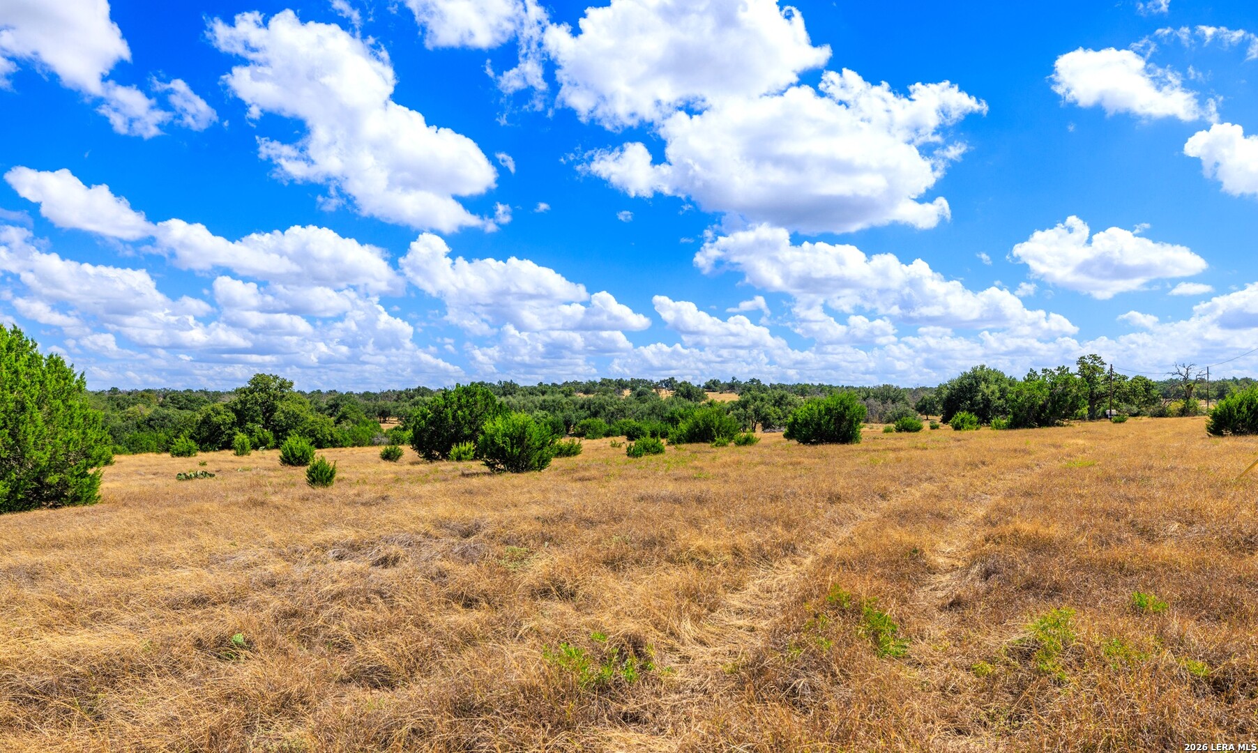 3395 Friedrich Road Fredericksburg TX 78624