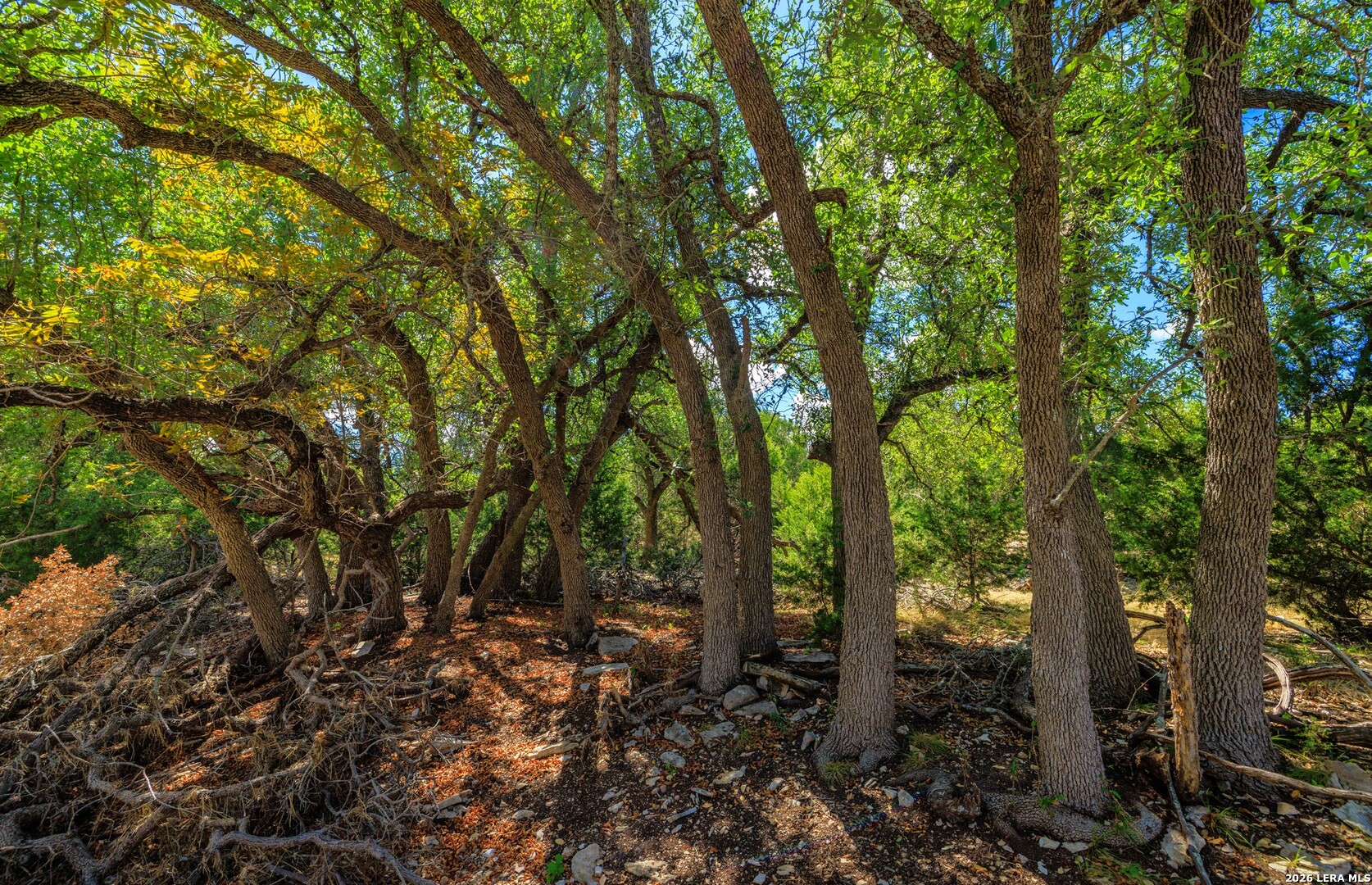3395 Friedrich Road Fredericksburg TX 78624