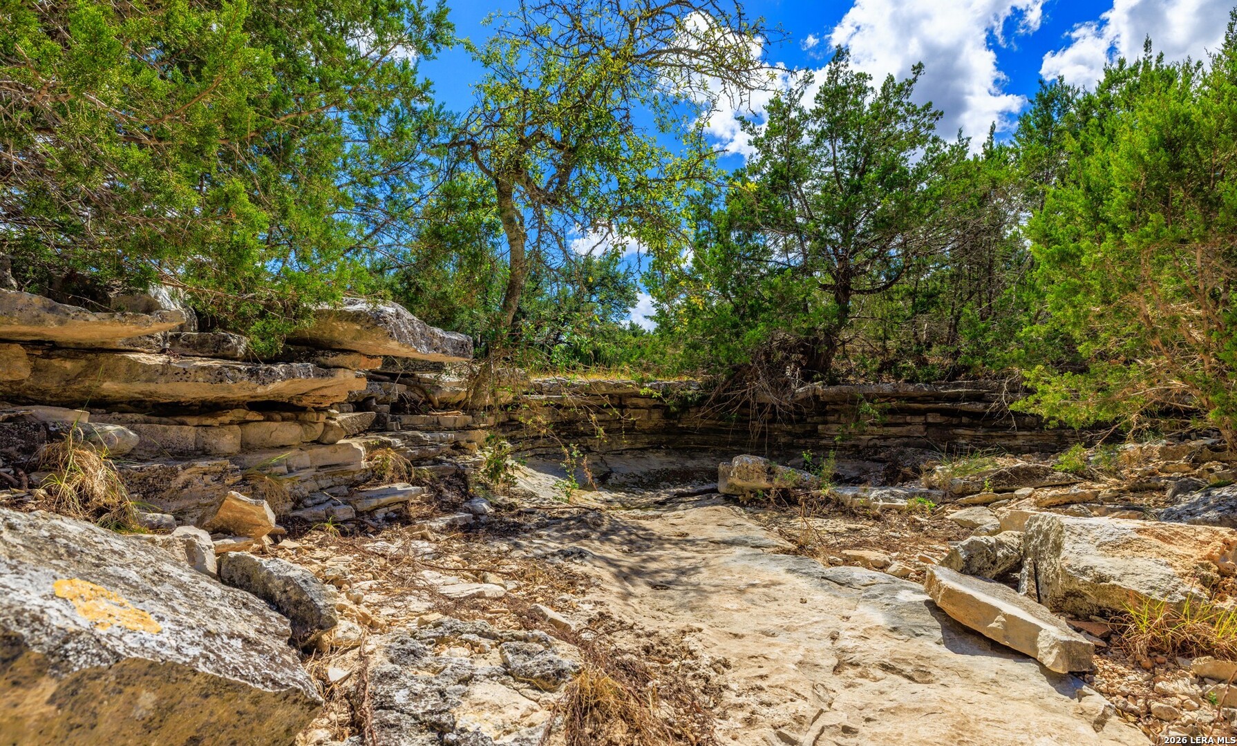 3395 Friedrich Road Fredericksburg TX 78624