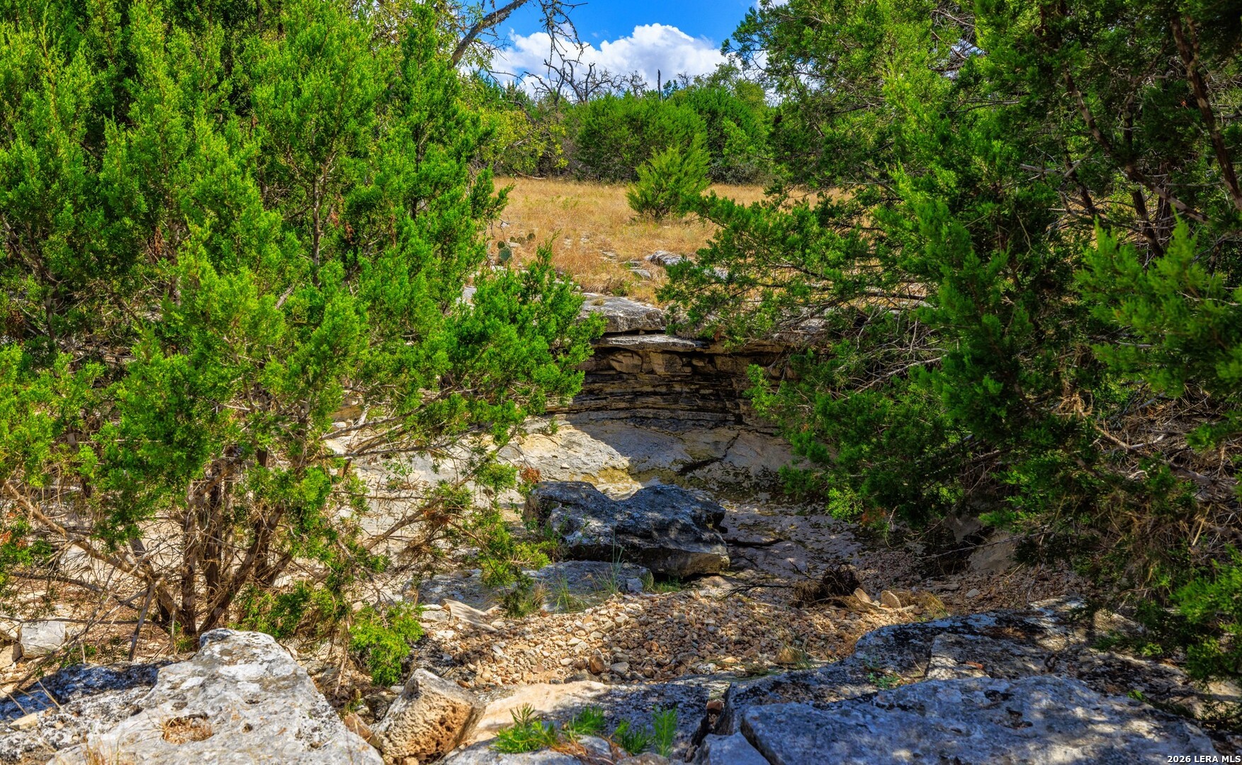 3395 Friedrich Road Fredericksburg TX 78624