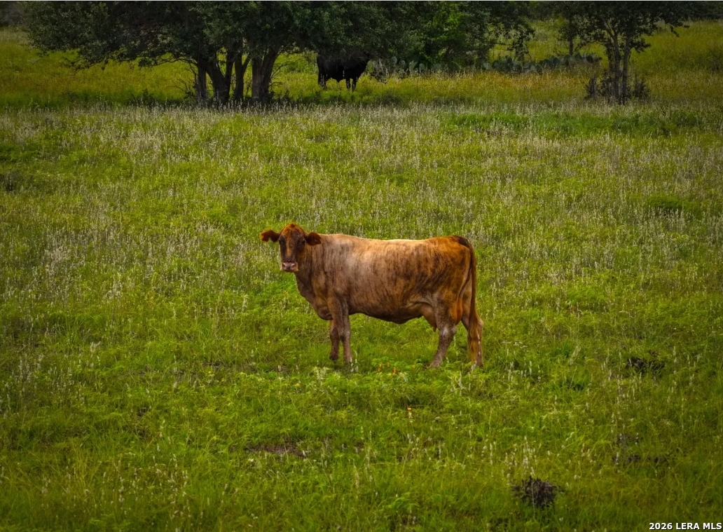 000 Cr 289 Gonzales TX 78629